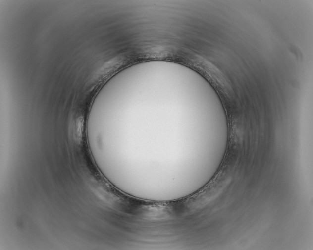 X0000112820118200909041522