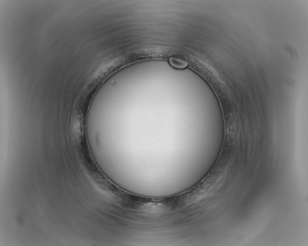 X0000112820119200909041522