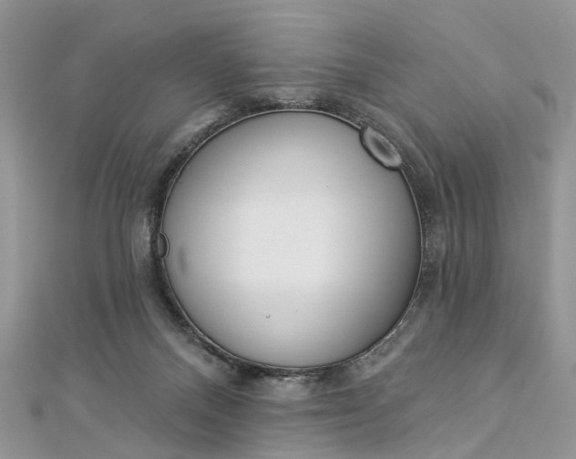 X0000112820120200909041522