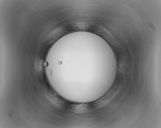 X0000112820122200909041522