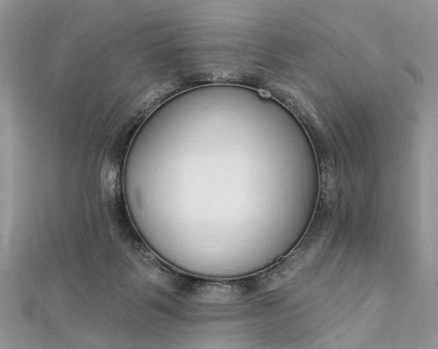 X0000112820123200909041522