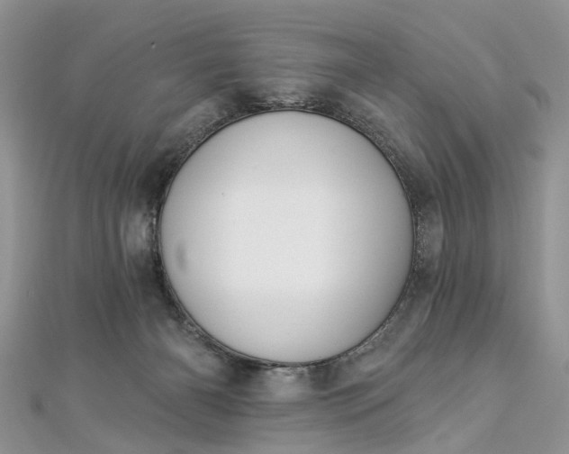 X0000112820126200909041522