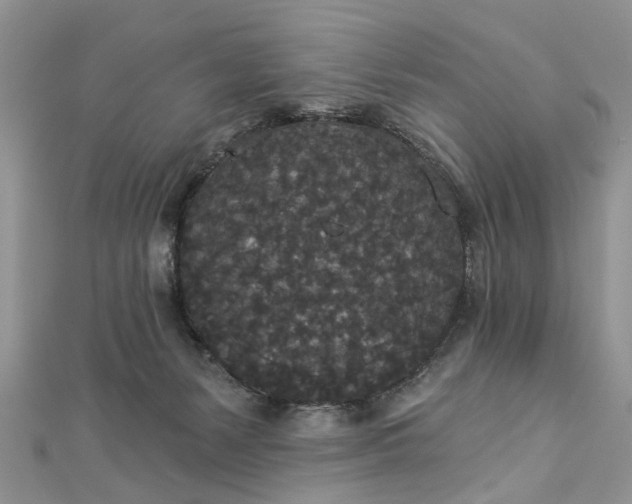 X0000112820127200909041522