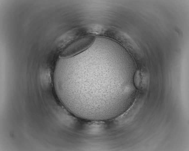 X0000112820128200909041522