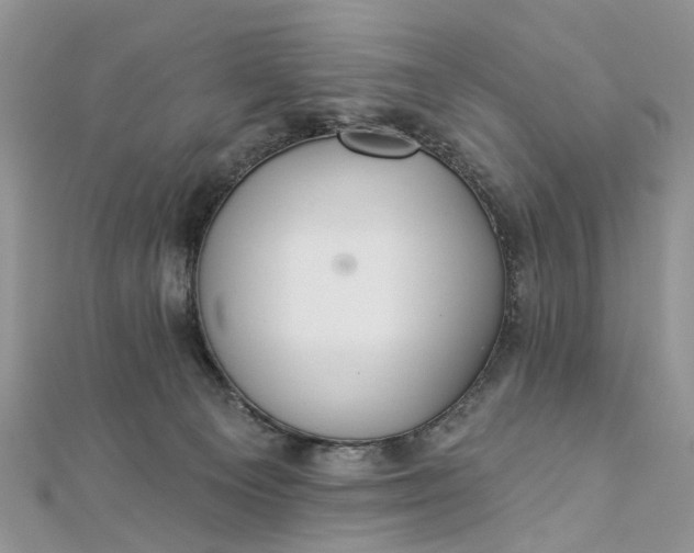 X0000112820129200909041522