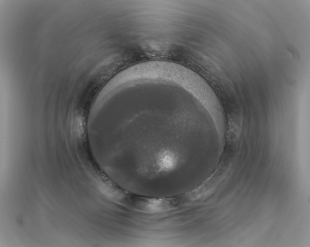 X0000112820130200909041522