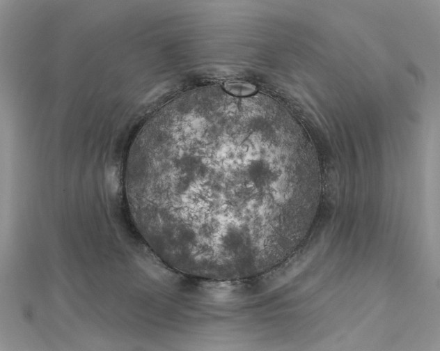 X0000112820131200909041522