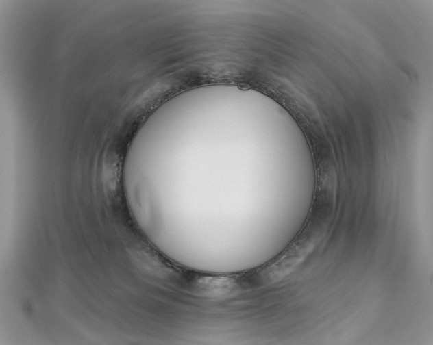 X0000112820133200909041522