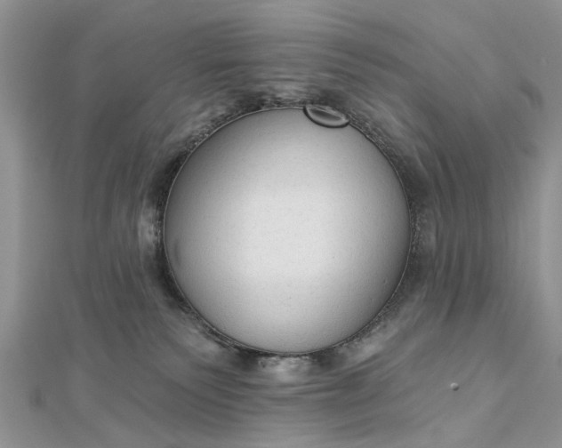 X0000112820135200909041522