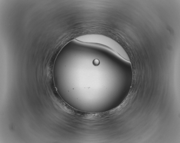 X0000112820136200909041522