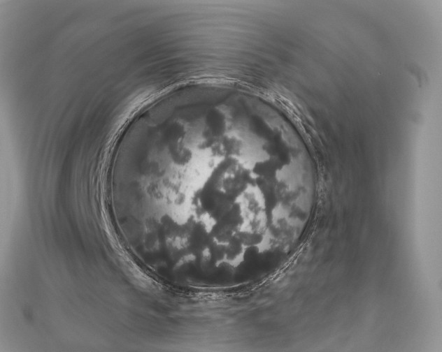 X0000112820145200909041521