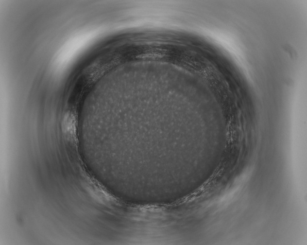 X0000112820146200909041521