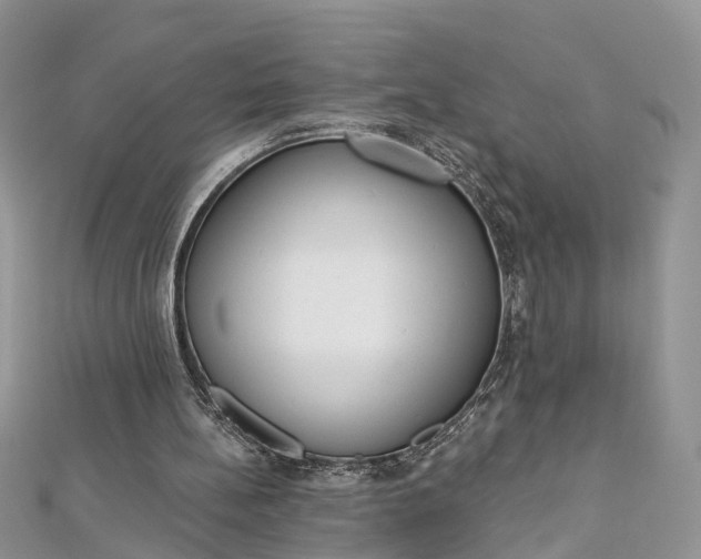 X0000112820148200909041522