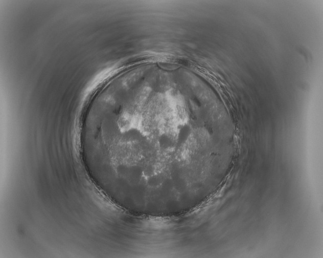 X0000112820149200909041522