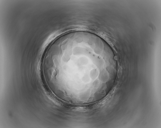 X0000112820151200909041522