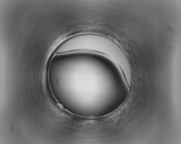 X0000112820152200909041522