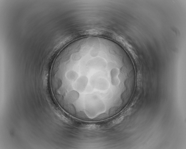 X0000112820153200909041522