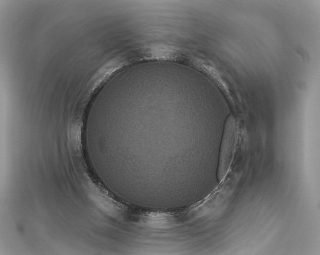 X0000112820154200909041522