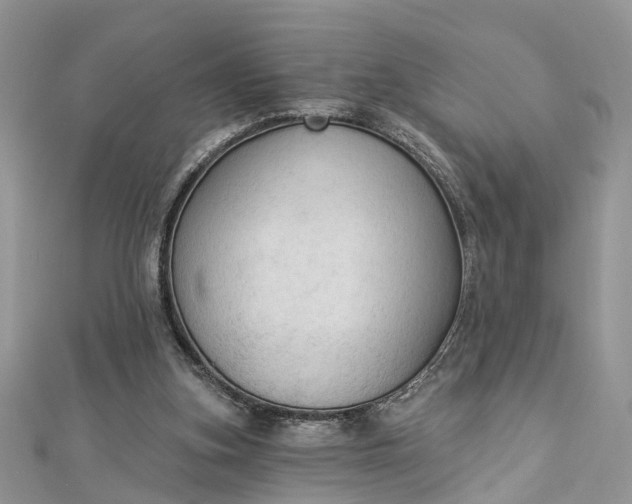 X0000112820155200909041522