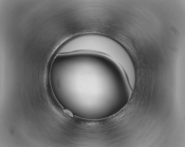 X0000112820156200909041522