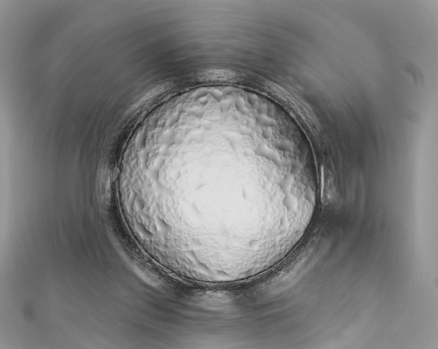 X0000112820157200909041522