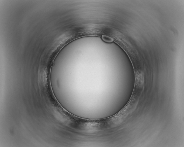 X0000112820158200909041522