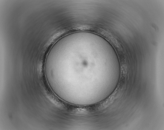 X0000112820159200909041522