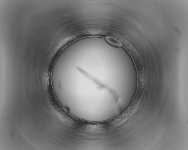 X0000112820160200909041522