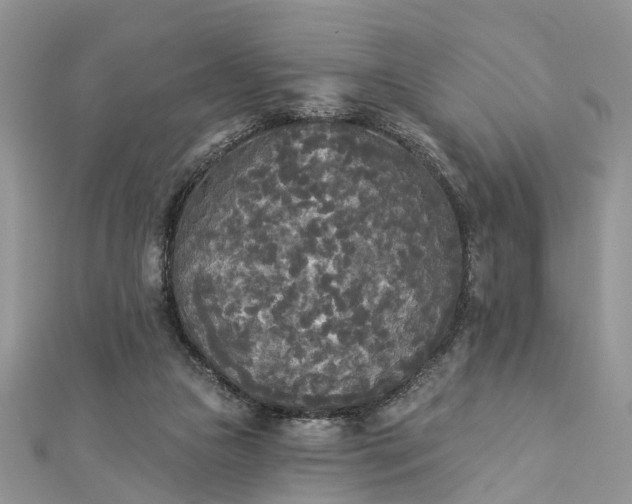 X0000112820161200909041522