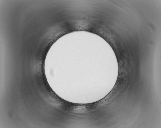 X0000112820162200909041522