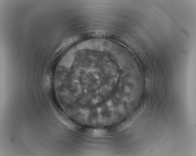 X0000112820165200909041522