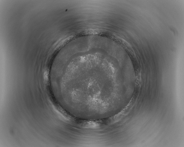 X0000112820166200909041522