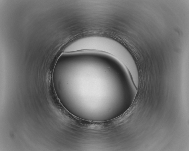 X0000112820168200909041522