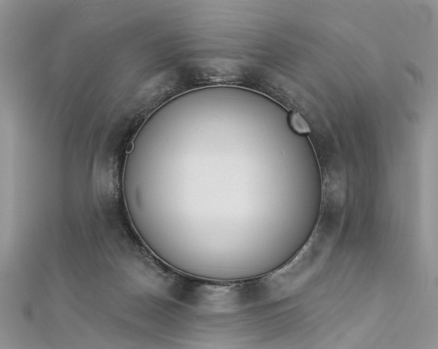 X0000112820170200909041522