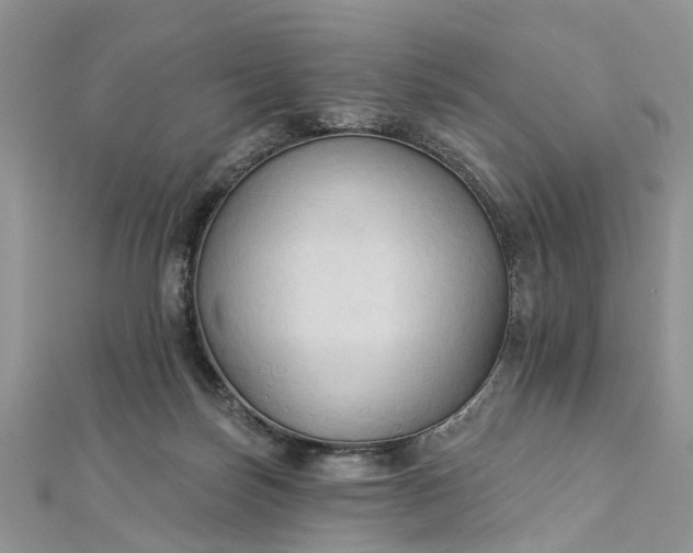 X0000112820171200909041522