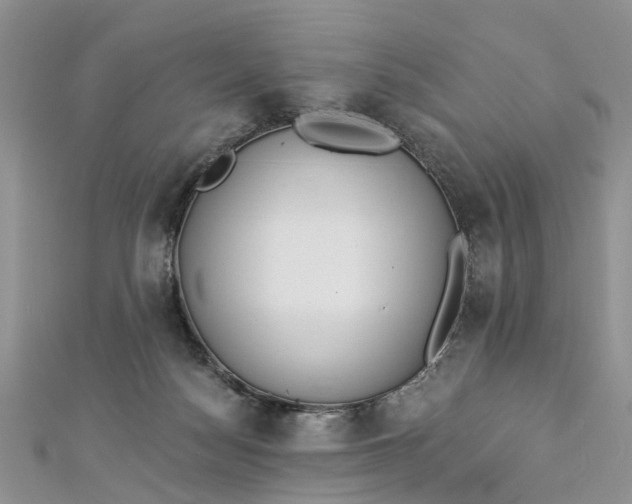 X0000112820172200909041522