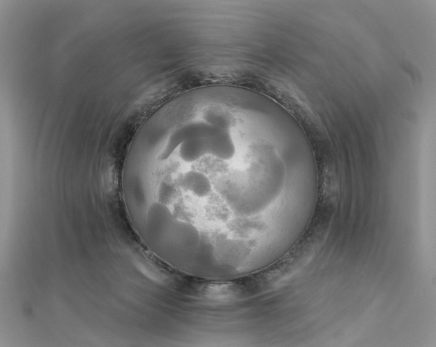 X0000112820173200909041522