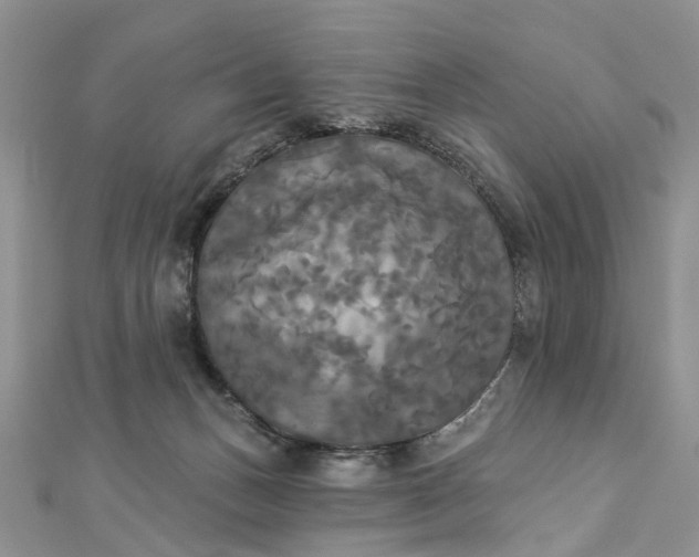 X0000112820175200909041522