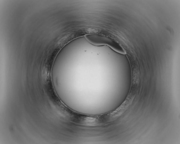 X0000112820176200909041522