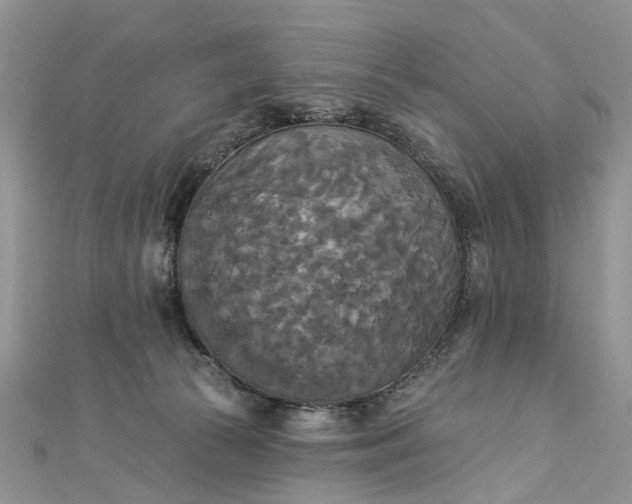 X0000112820177200909041522