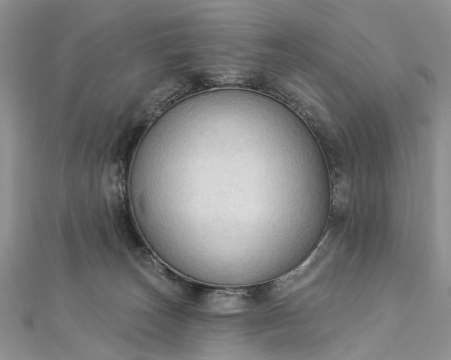 X0000112820179200909041522