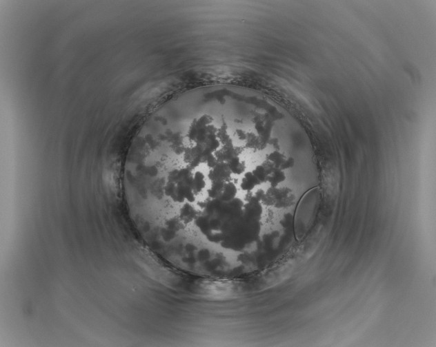 X0000112820181200909041522