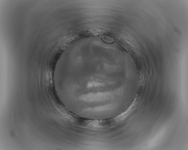 X0000112820182200909041522