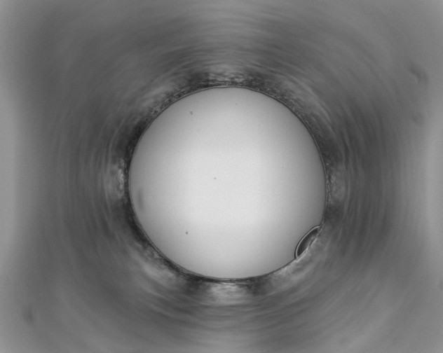 X0000112820183200909041522