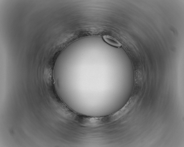 X0000112820184200909041522