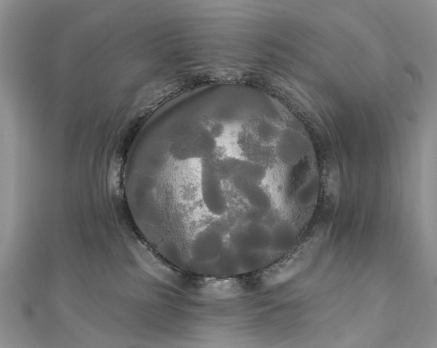 X0000112820185200909041522