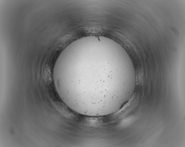 X0000112820187200909041522