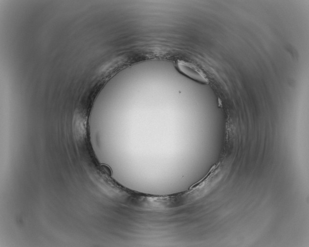 X0000112820188200909041522