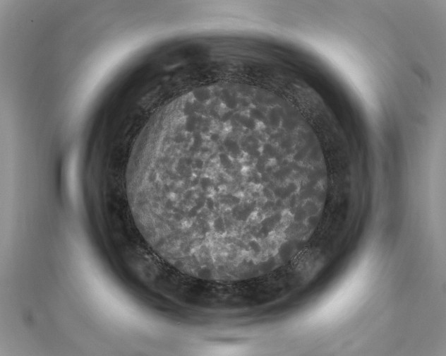 X0000112820189200909041522