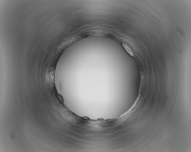 X0000112820190200909041522